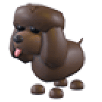 Irish Water Spaniel - Ultra-Rare from UGC Rewards